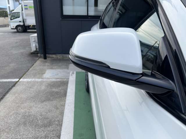 ＢＭＷ Ｘ２ Ｘドライブ２０Ｉ ＭスポーツＸ ４ＷＤ H30年 (東海) 99