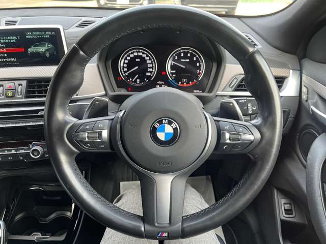 ＢＭＷ Ｘ２ Ｘドライブ２０Ｉ ＭスポーツＸ ４ＷＤ H30年 (東海) 99