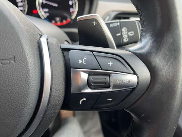 ＢＭＷ Ｘ２ Ｘドライブ２０Ｉ ＭスポーツＸ ４ＷＤ H30年 (東海) 99