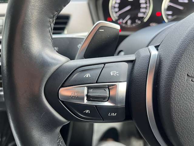 ＢＭＷ Ｘ２ Ｘドライブ２０Ｉ ＭスポーツＸ ４ＷＤ H30年 (東海) 99