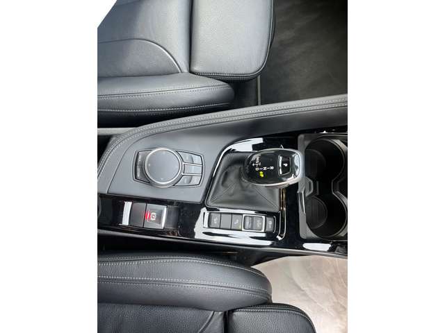 ＢＭＷ Ｘ２ Ｘドライブ２０Ｉ ＭスポーツＸ ４ＷＤ H30年 (東海) 99