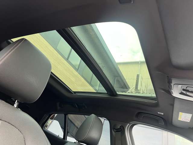 ＢＭＷ Ｘ２ Ｘドライブ２０Ｉ ＭスポーツＸ ４ＷＤ H30年 (東海) 99