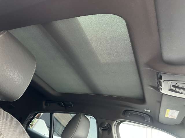 ＢＭＷ Ｘ２ Ｘドライブ２０Ｉ ＭスポーツＸ ４ＷＤ H30年 (東海) 99