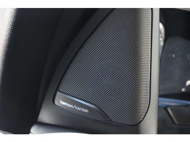 ＢＭＷ Ｘ３　Ｍ コンペティション ４ＷＤ R1年 (関東) 99