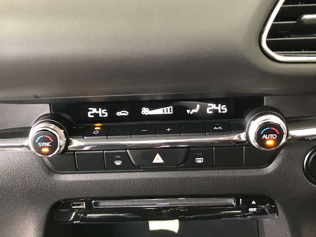 マツダ ＣＸ−３０ ２．０ ２０Ｓ プロアクティブ ４ＷＤ R2年 (北海道) 99