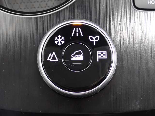 日産 エクストレイル １．５ Ｘ Ｅ－４ＯＲＣＥ ４ＷＤ R4年 (関東) 99