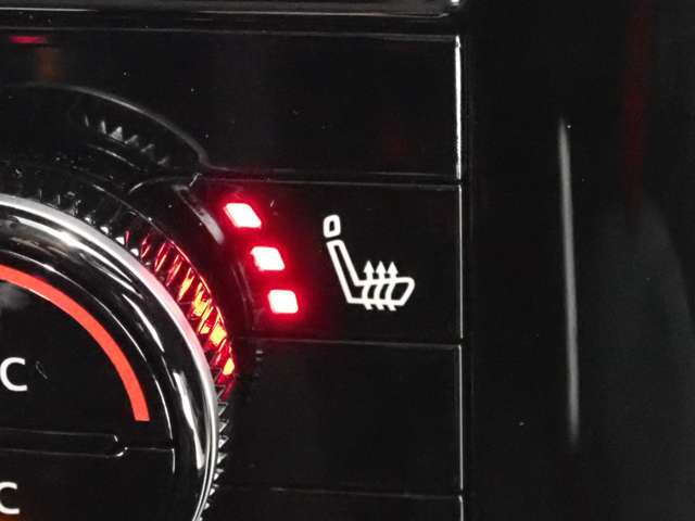 日産 エクストレイル １．５ Ｘ Ｅ－４ＯＲＣＥ ４ＷＤ R4年 (関東) 99