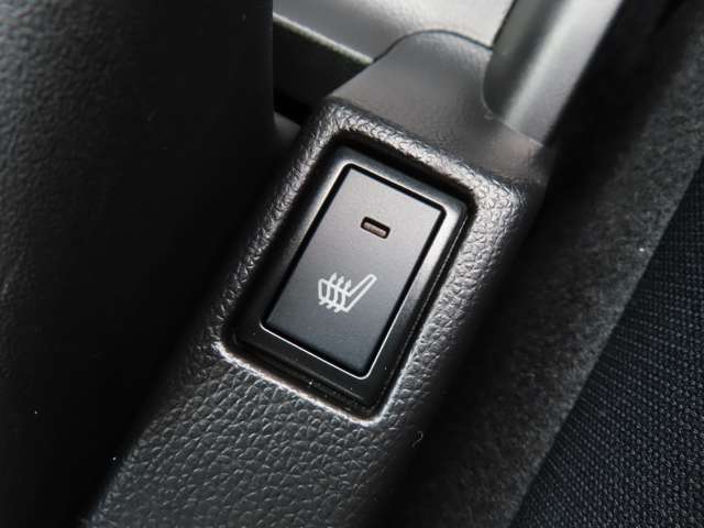 スズキ スイフト スポーツ １．４ R4年 (関東) 99