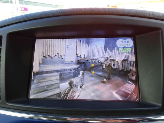 日産 エルグランド ２．５ ２５０ハイウェイスターＳ アーバンクロム ４ＷＤ H27年 () 99