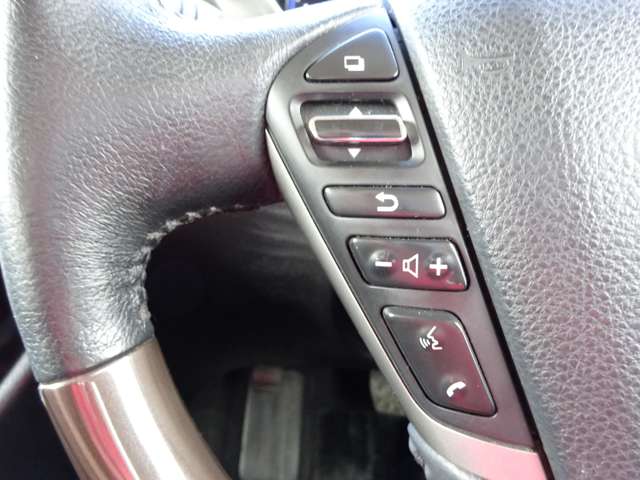 日産 エルグランド ２．５ ２５０ハイウェイスターＳ アーバンクロム ４ＷＤ H27年 () 99