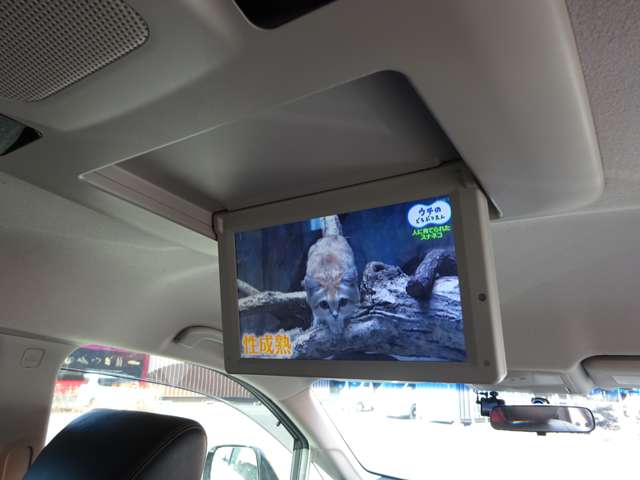 日産 エルグランド ２．５ ２５０ハイウェイスターＳ アーバンクロム ４ＷＤ H27年 () 99