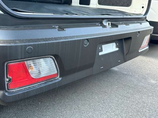 ダイハツ ハイゼットカーゴ ６６０ デラックス ４ＷＤ R6年 (中国) 99