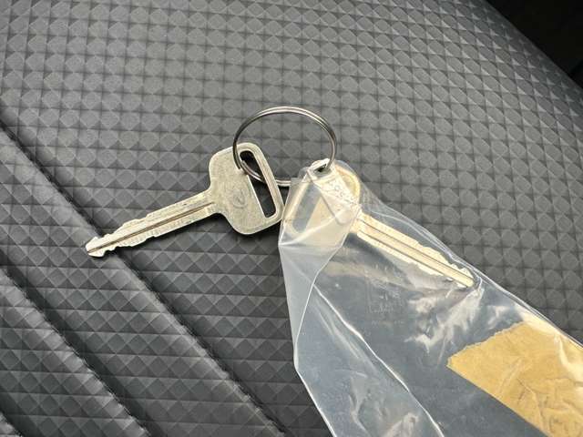 ダイハツ ハイゼットトラック ６６０ スタンダード ３方開 ４ＷＤ R5年 (中国) 99