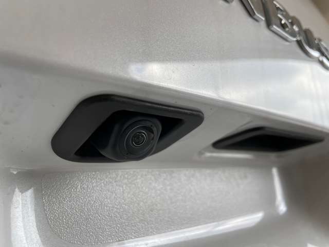 ダイハツ ムーヴ　キャンバス ６６０ ストライプス Ｇ R4年 (中国) 99