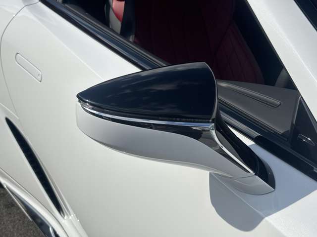 レクサス ＬＣコンバーチブル ５００ R4年 (中国) 99