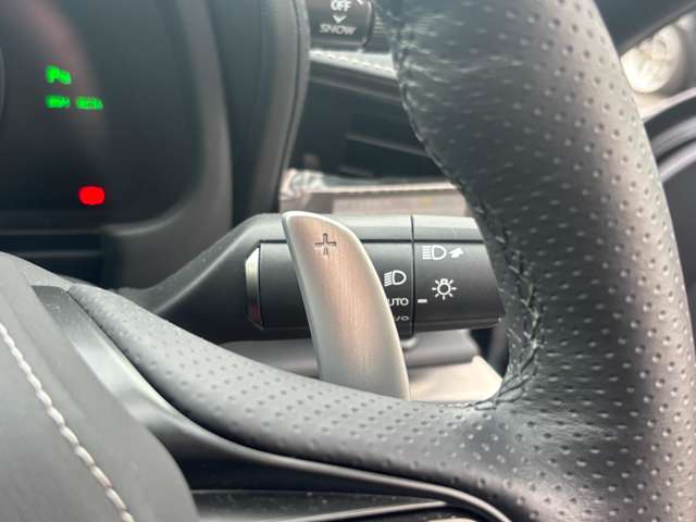 レクサス ＬＣコンバーチブル ５００ R4年 (中国) 99