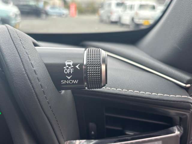 レクサス ＬＣコンバーチブル ５００ R4年 (中国) 99