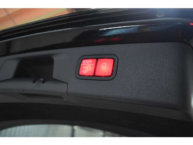 メルセデスベンツ Ｅクラスオールテレイン Ｅ２２０Ｄ ４マチック ディーゼルターボ ４ＷＤ H30年 (関東) 99