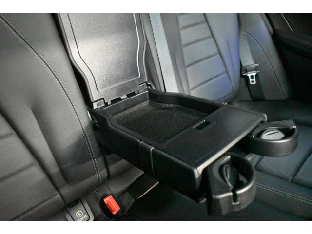 メルセデスベンツ Ｅクラスオールテレイン Ｅ２２０Ｄ ４マチック ディーゼルターボ ４ＷＤ H30年 (関東) 99