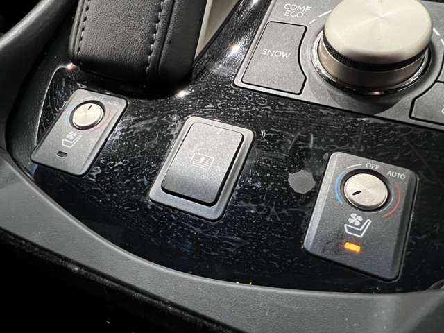 レクサス ＬＳ４６０ Ｆスポーツ H27年 (関東) 99