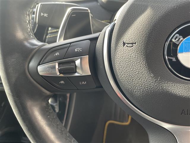 ＢＭＷ Ｘ２ Ｘドライブ２０Ｉ ＭスポーツＸ ４ＷＤ H30年 (東海) 99