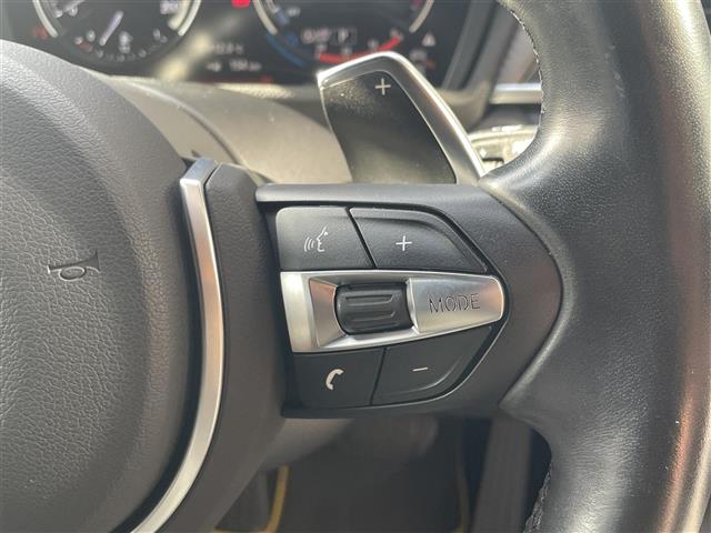 ＢＭＷ Ｘ２ Ｘドライブ２０Ｉ ＭスポーツＸ ４ＷＤ H30年 (東海) 99