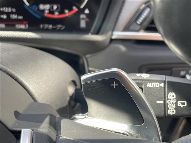 ＢＭＷ Ｘ２ Ｘドライブ２０Ｉ ＭスポーツＸ ４ＷＤ H30年 (東海) 99