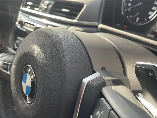 ＢＭＷ Ｘ２ Ｘドライブ２０Ｉ ＭスポーツＸ ４ＷＤ H30年 (東海) 99
