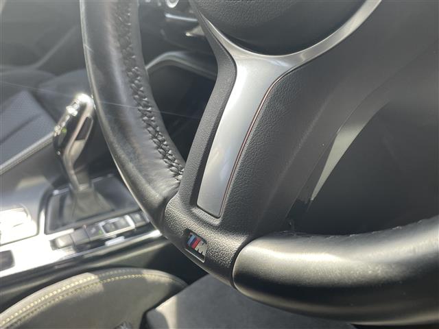 ＢＭＷ Ｘ２ Ｘドライブ２０Ｉ ＭスポーツＸ ４ＷＤ H30年 (東海) 99