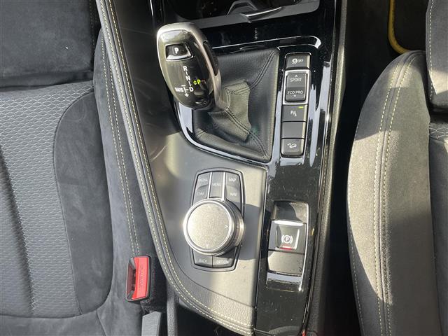 ＢＭＷ Ｘ２ Ｘドライブ２０Ｉ ＭスポーツＸ ４ＷＤ H30年 (東海) 99
