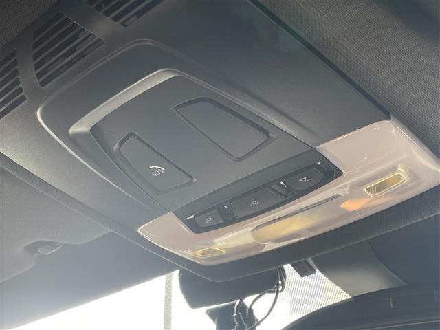 ＢＭＷ Ｘ２ Ｘドライブ２０Ｉ ＭスポーツＸ ４ＷＤ H30年 (東海) 99