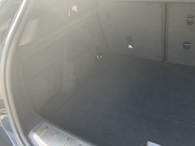 ＢＭＷ Ｘ２ Ｘドライブ２０Ｉ ＭスポーツＸ ４ＷＤ H30年 (東海) 99