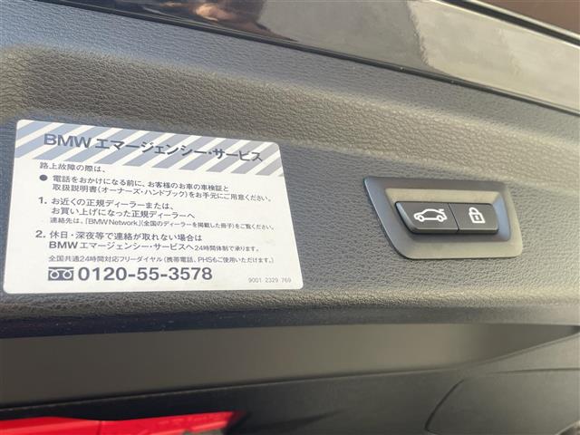 ＢＭＷ Ｘ２ Ｘドライブ２０Ｉ ＭスポーツＸ ４ＷＤ H30年 (東海) 99