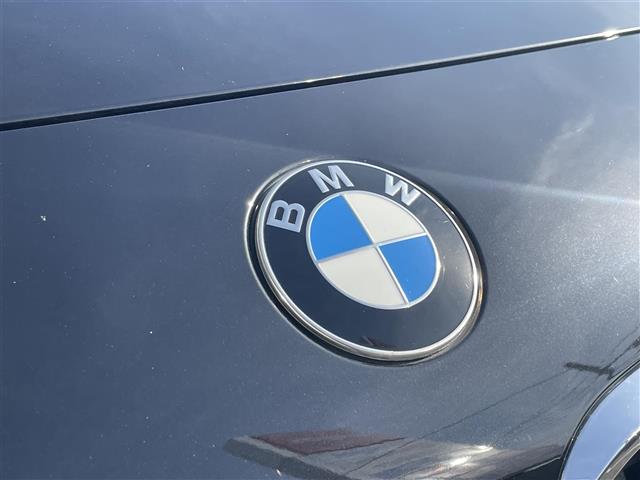 ＢＭＷ Ｘ２ Ｘドライブ２０Ｉ ＭスポーツＸ ４ＷＤ H30年 (東海) 99