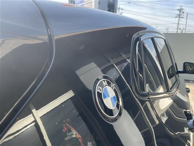 ＢＭＷ Ｘ２ Ｘドライブ２０Ｉ ＭスポーツＸ ４ＷＤ H30年 (東海) 99