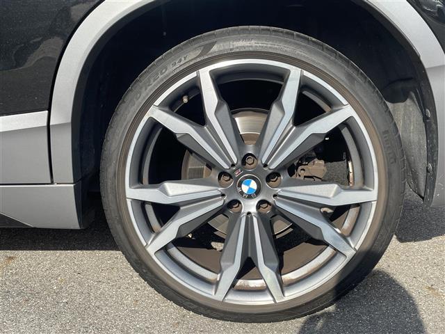 ＢＭＷ Ｘ２ Ｘドライブ２０Ｉ ＭスポーツＸ ４ＷＤ H30年 (東海) 99