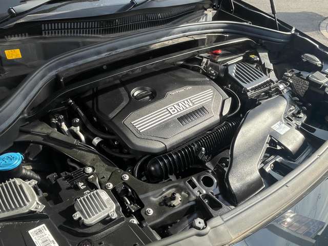 ＢＭＷ Ｘ２ Ｘドライブ２０Ｉ ＭスポーツＸ ４ＷＤ H30年 (東海) 99