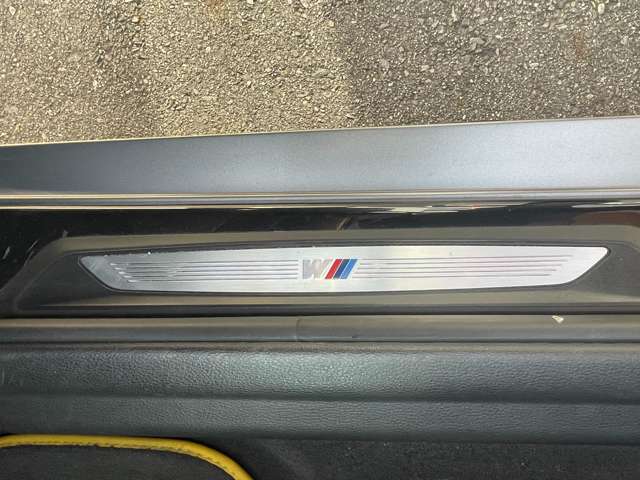 ＢＭＷ Ｘ２ Ｘドライブ２０Ｉ ＭスポーツＸ ４ＷＤ H30年 (東海) 99