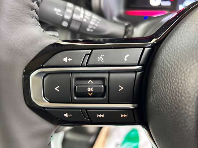 スズキ スペーシア ６６０ カスタム ハイブリッド ＸＳ ４ＷＤ R6年 (北海道) 99