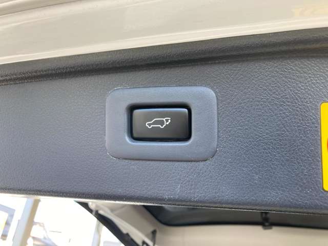 トヨタ アルファード ２．４ ２４０Ｓ タイプゴールド ４ＷＤ H25年 (東北) 99