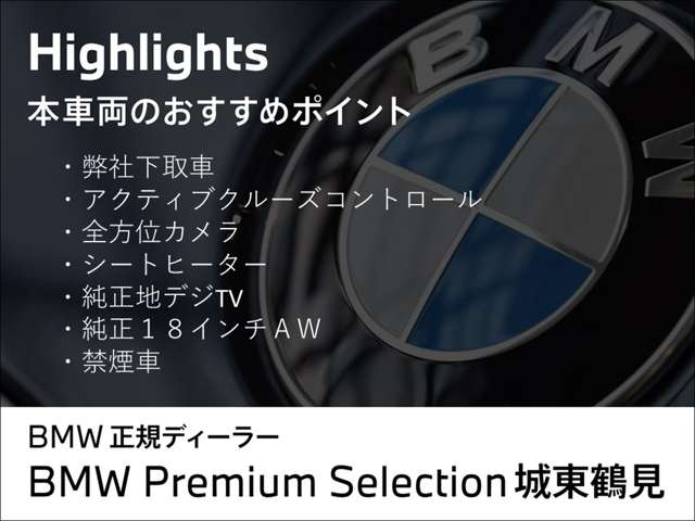 ＢＭＷ ５シリーズ ５２３Ｄ ラグジュアリー ディーゼルターボ H29年 (近畿) 99