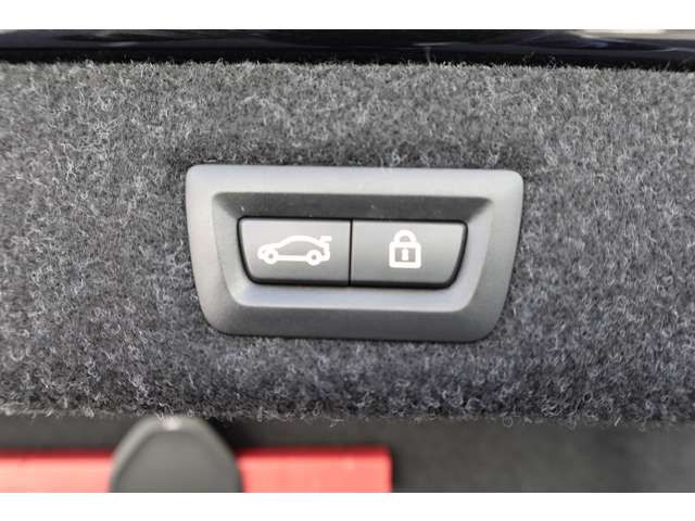 ＢＭＷ ５シリーズ ５２３Ｄ ラグジュアリー ディーゼルターボ H29年 (近畿) 99