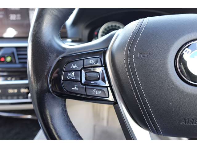 ＢＭＷ ５シリーズ ５２３Ｄ ラグジュアリー ディーゼルターボ H29年 (近畿) 99