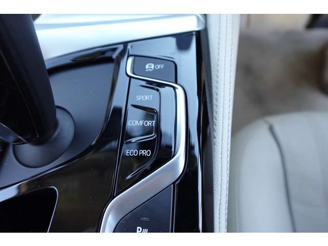 ＢＭＷ ５シリーズ ５２３Ｄ ラグジュアリー ディーゼルターボ H29年 (近畿) 99