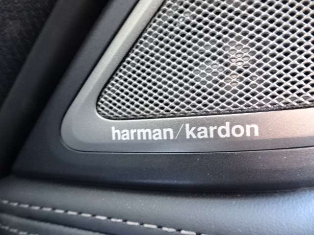 ＢＭＷ ７シリーズ ７４０ＬＤ Ｘドライブ Ｍスポーツ ディーゼルターボ ４ＷＤ R1年 (近畿) 99