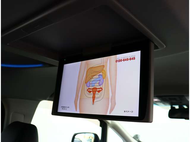 トヨタ ヴェルファイア ２．５ Ｚ Ｇエディション H28年 (関東) 99