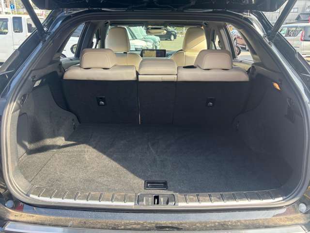 レクサス ＲＸ４５０ｈ ４５０Ｈ Ｆスポーツ ４ＷＤ H28年 (中国) 99