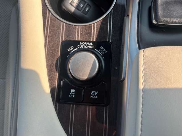 レクサス ＲＸ４５０ｈ ４５０Ｈ Ｆスポーツ ４ＷＤ H28年 (中国) 99