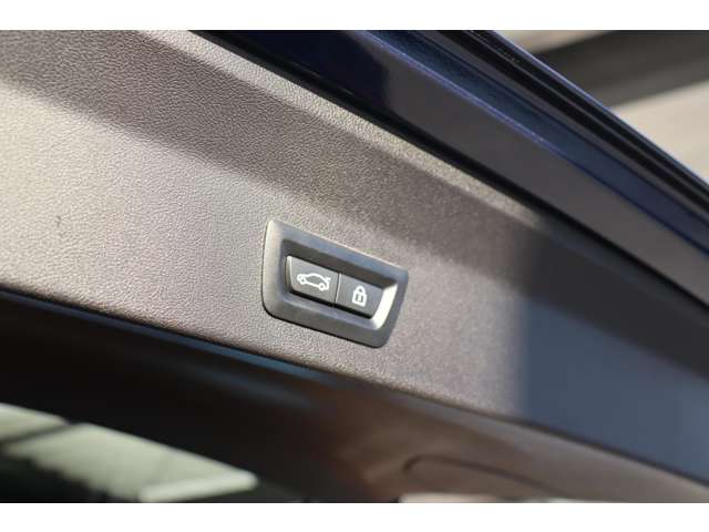 ＢＭＷ Ｘ３ Ｘドライブ２０Ｄ Ｍスポーツ ディーゼルターボ ４ＷＤ H30年 (近畿) 99