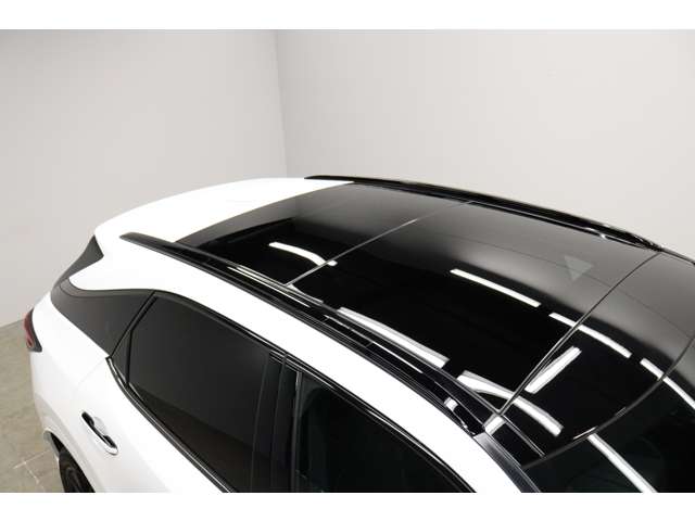 レクサス ＲＸ５００ｈ ５００Ｈ Ｆスポーツ パフォーマンス ４ＷＤ R5年 (東海) 99